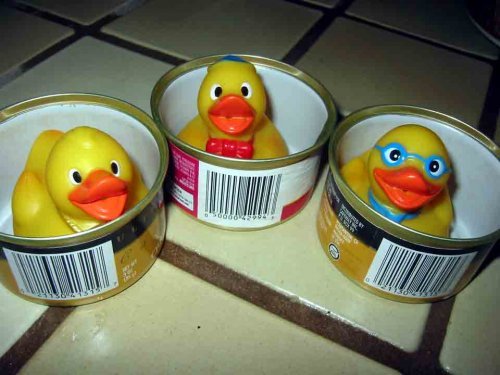 three duckies in cat food tins (c) David Ocker
