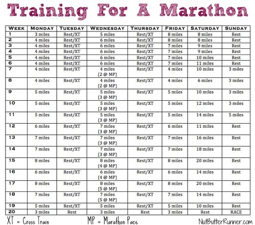 Marathon Training Programs Free