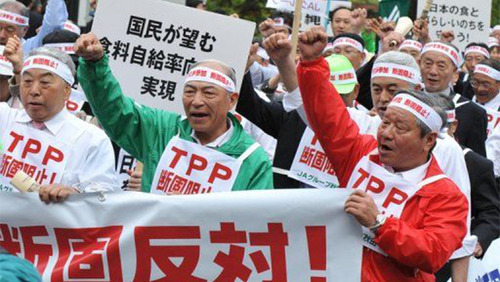Japanese farm and consumer groups rally at anti-Trans Pacific Partnership (TPP) demonstration in Tokyo this past March. — Photo via House of Japan