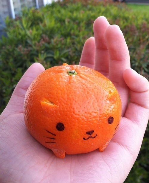 Image result for Tangerines meme