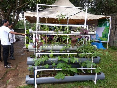 Terrace Farming In Kerala There is something organic