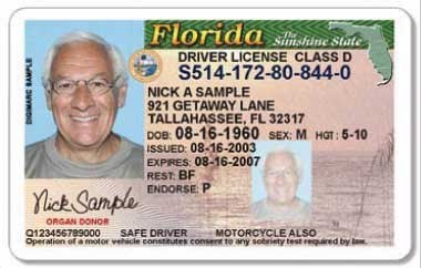 Florida Drivers License Templates