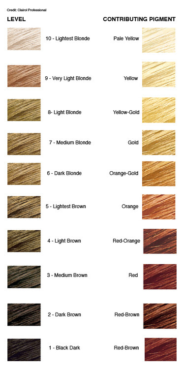 Level 7 Hair Color Chart Yarta Innovations2019 Org