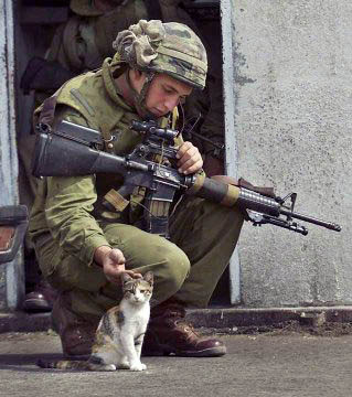 A soldier and a cat