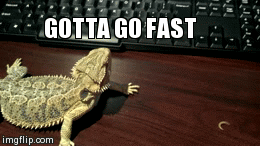 Gif of a lizard desperately trying to walk atop a desk and failing, with the caption "Gotta go fast"