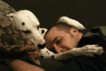 10 Life Lessons We Can Learn from Our Pets