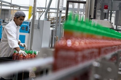 Sriracha chili sauce in production at Huy Fong Foods factory in Irwindale, California.  – Photo by Cheryl A. Guerrero / Los Angeles Times