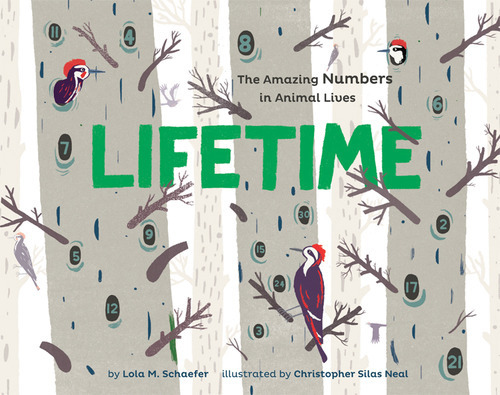 Lifetime, The Amazing Numbers in Animal Lives