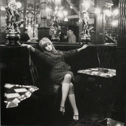 bebelestrange: (via babydeer) by far the prettiest & most interesting photo of marianne faithfull…have had this saved for a couple years.