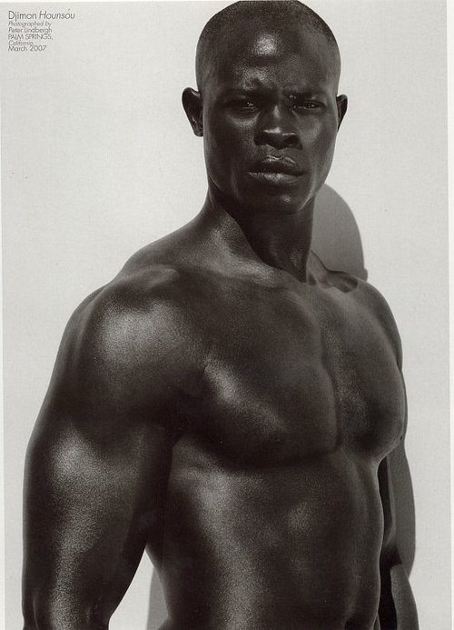 Download this Djimon Hounsou For... picture