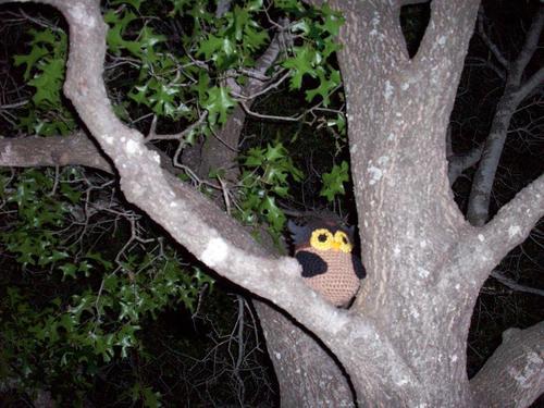 hooter the amigurumi owl in tree