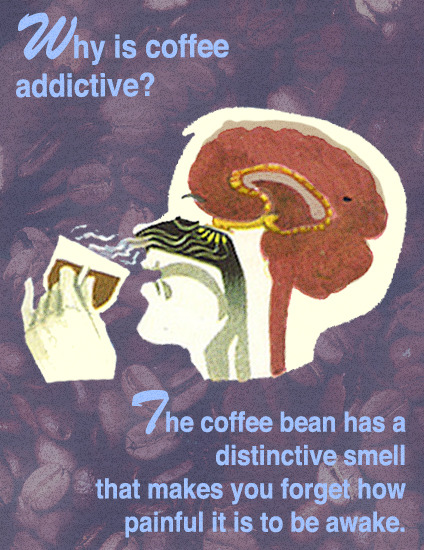 Why Is Coffee Addictive?
