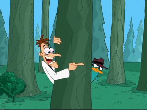 Perry The Platypus Phineas And Ferb Wallpaper. Favorite Perry the Platypus