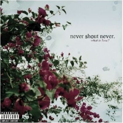 Never Shout Never is one of those American musicians that you'd think would 