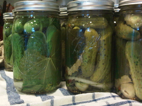 Baked pickles recipes