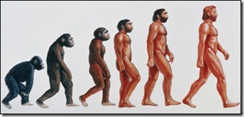 Based on the 'Ascent of Man' a theory by Charles Darwin of mans ascent from