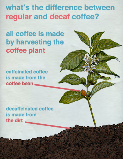 How Decaf Is Produced