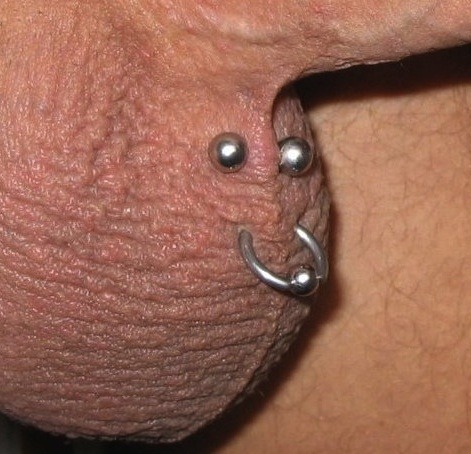 So you're thinking about getting your dick pierced?