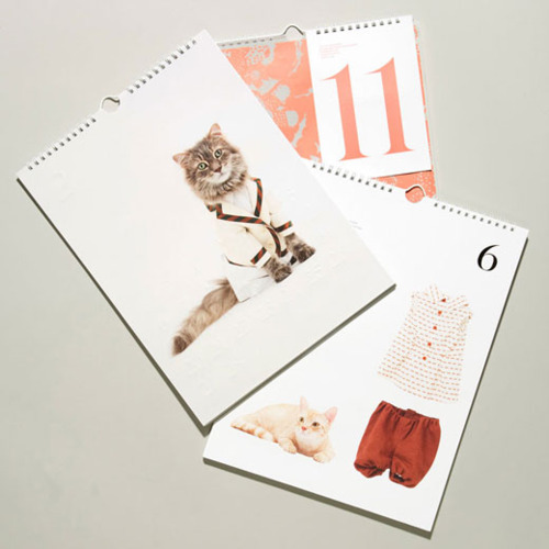 UNITED BAMBOO 2011 CALENDAR | FASHIONABLE (!) CATS. Posted by youronlineshopper on November 24, 2010 · Leave a Comment