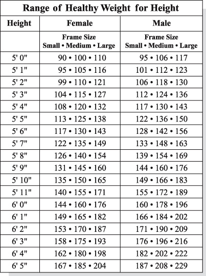 height+measurement+chart