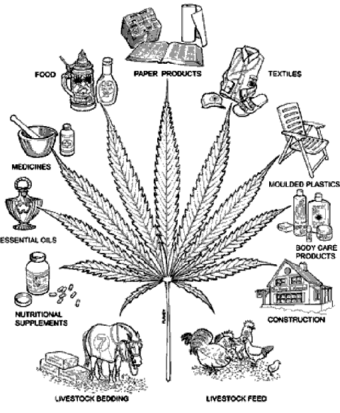 Legalization Of Cannabis Pros And Cons. The US war
