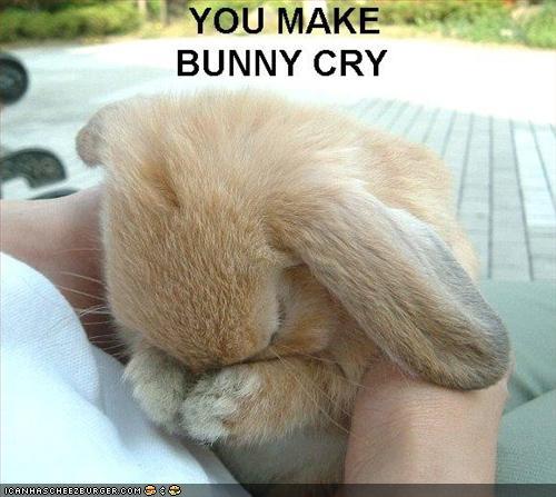 funny bunny. Tags: funny bunny cry.