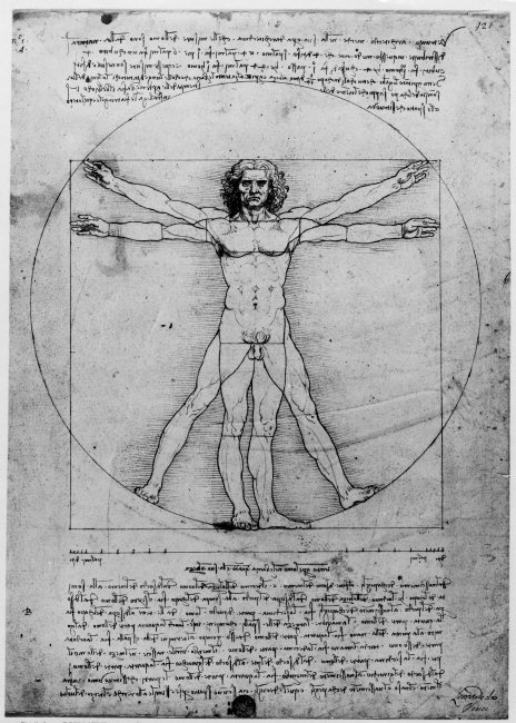 proportional study of man in the manner of vitruvius