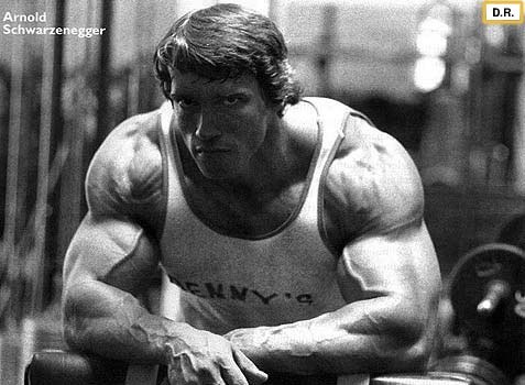 arnold schwarzenegger workout pictures. Arnold Schwarzenegger#39;s Five