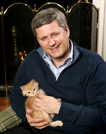 stephen harper kitten. Minister Stephen Harper.
