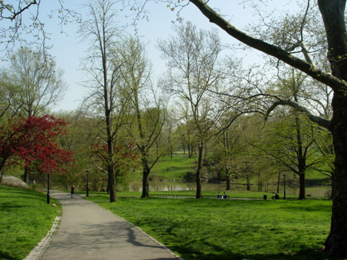 central park springtime. A walk in Central Park.