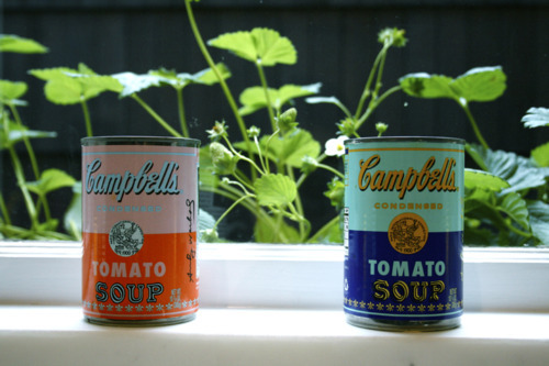 Campbell's soup cans by Andy Warhol in the kitchen