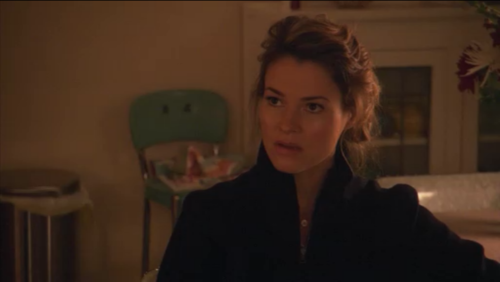 The awkward moment when Leisha Hailey is playing a straight character on 