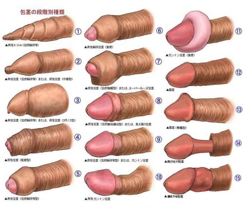  types of pussy types of penis vagina My life Loading Hide notes