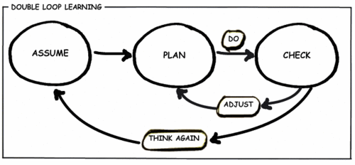 Mark Sweep: Double Loop Learning and the Lean Startup
