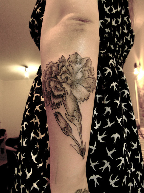 brao carnation tattoos