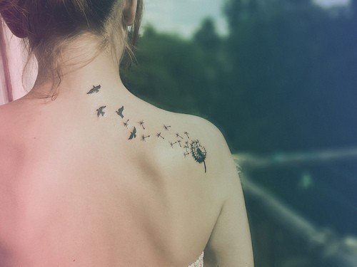 And other small bird tattoos