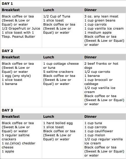 3 Day Diet Plan Food List