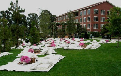Casual Wedding Ideas on Of Your Followers Have Any Fun Ideas For A Casual Picnic Wedding Most