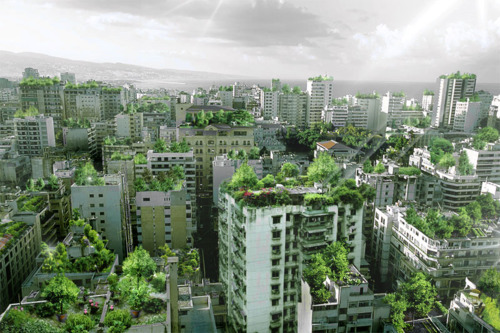 Wassim Melki green roof, sustainable design, beirut lebanon