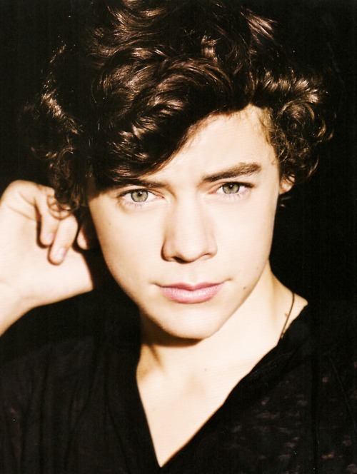 One Direction Harry Styles Cute