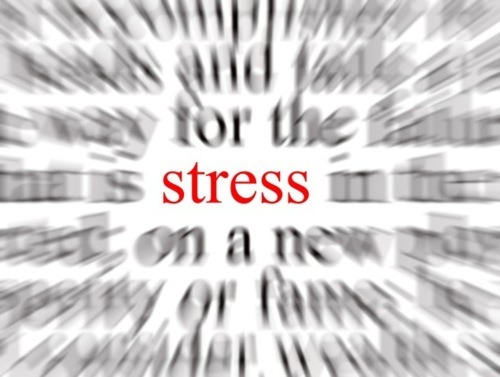 Image result for stress tumblr