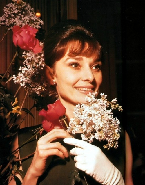 The beautiful Mrs Audrey Hepburn Ferrer surrounded by flowers