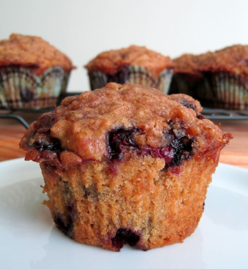 Blueberry coffee coffee cake muffins