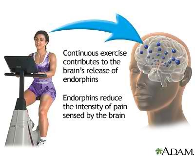 Does Running Produces Endorphins