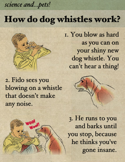 How Do Dog Whistles Work?