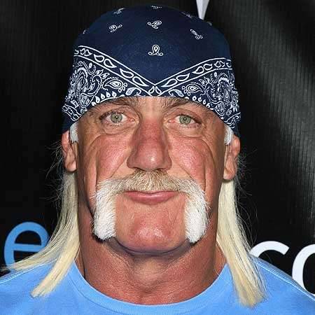 If you aren't up to date on what's been going on in Hulk Hogan's life and