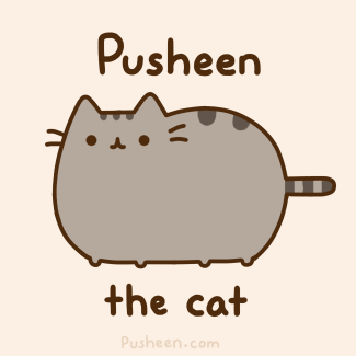 fat cat pusheen