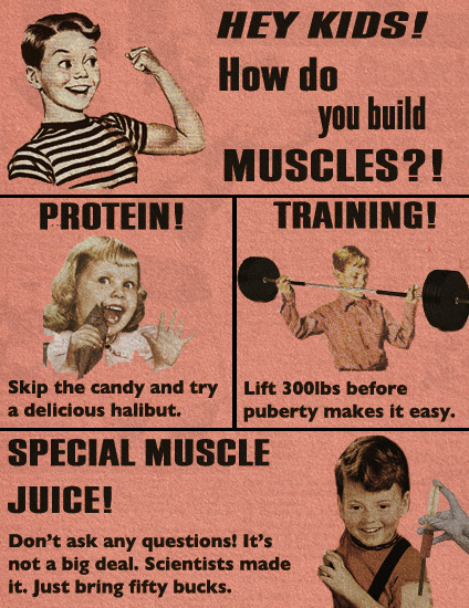 How do You Build Muscles?