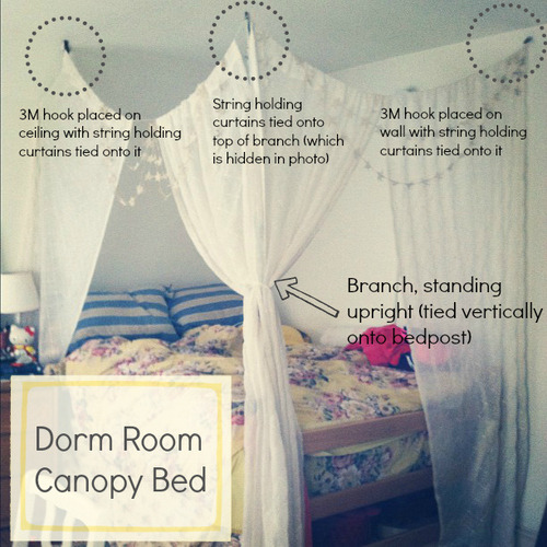 Dorm Room Canopy Bed: dreamily passed all of my... - Fuck Yeah, Cool ...