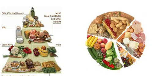 low carb food pyramid chart